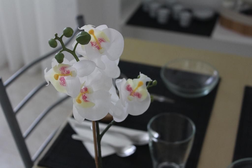 Nine Senses Guest house Furadouro